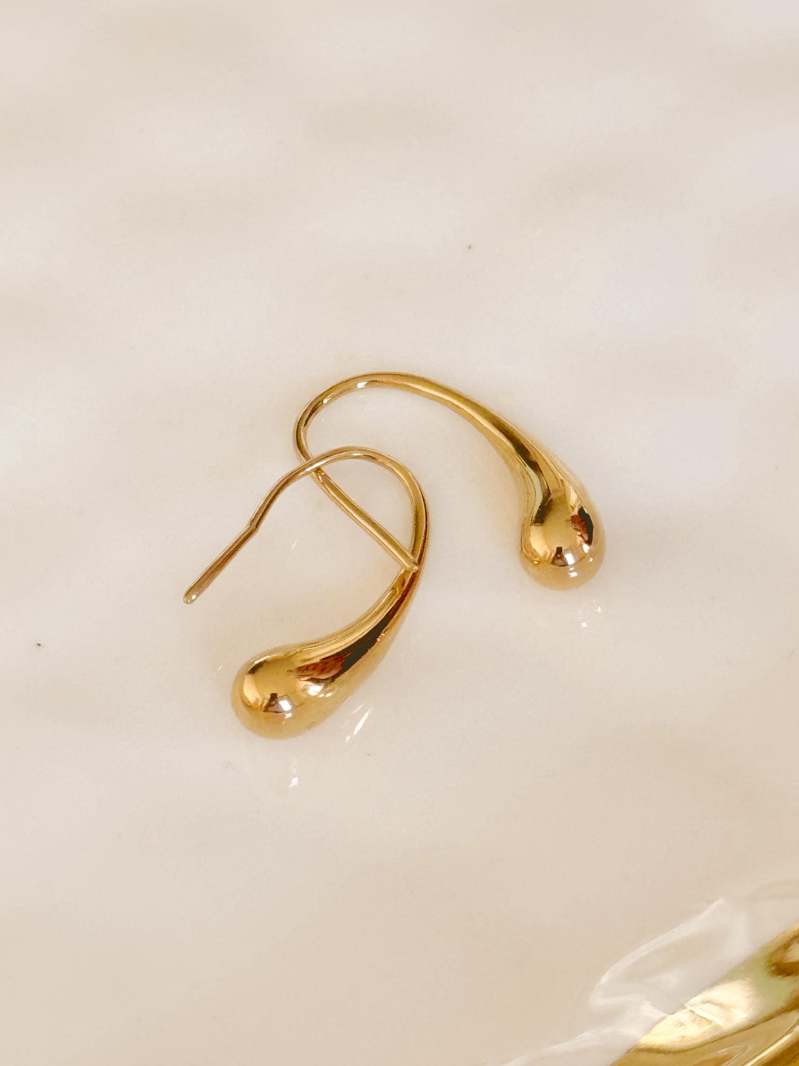 Gold Stainless Steel Asher Earring