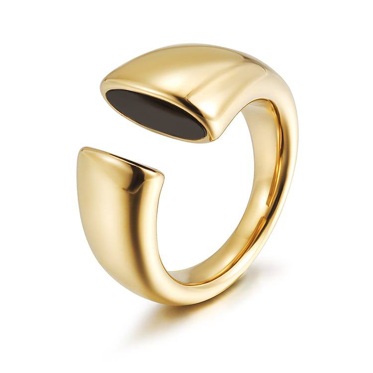 Céline stainless steel Ring